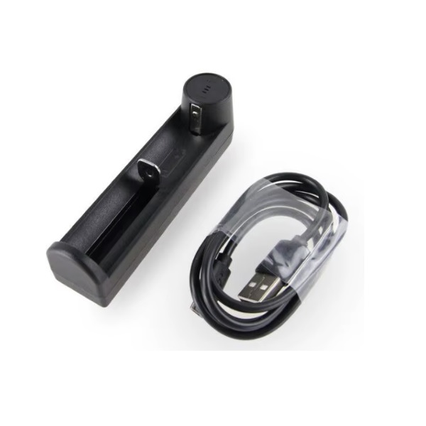 Chargeur intelligent pour 1 pile